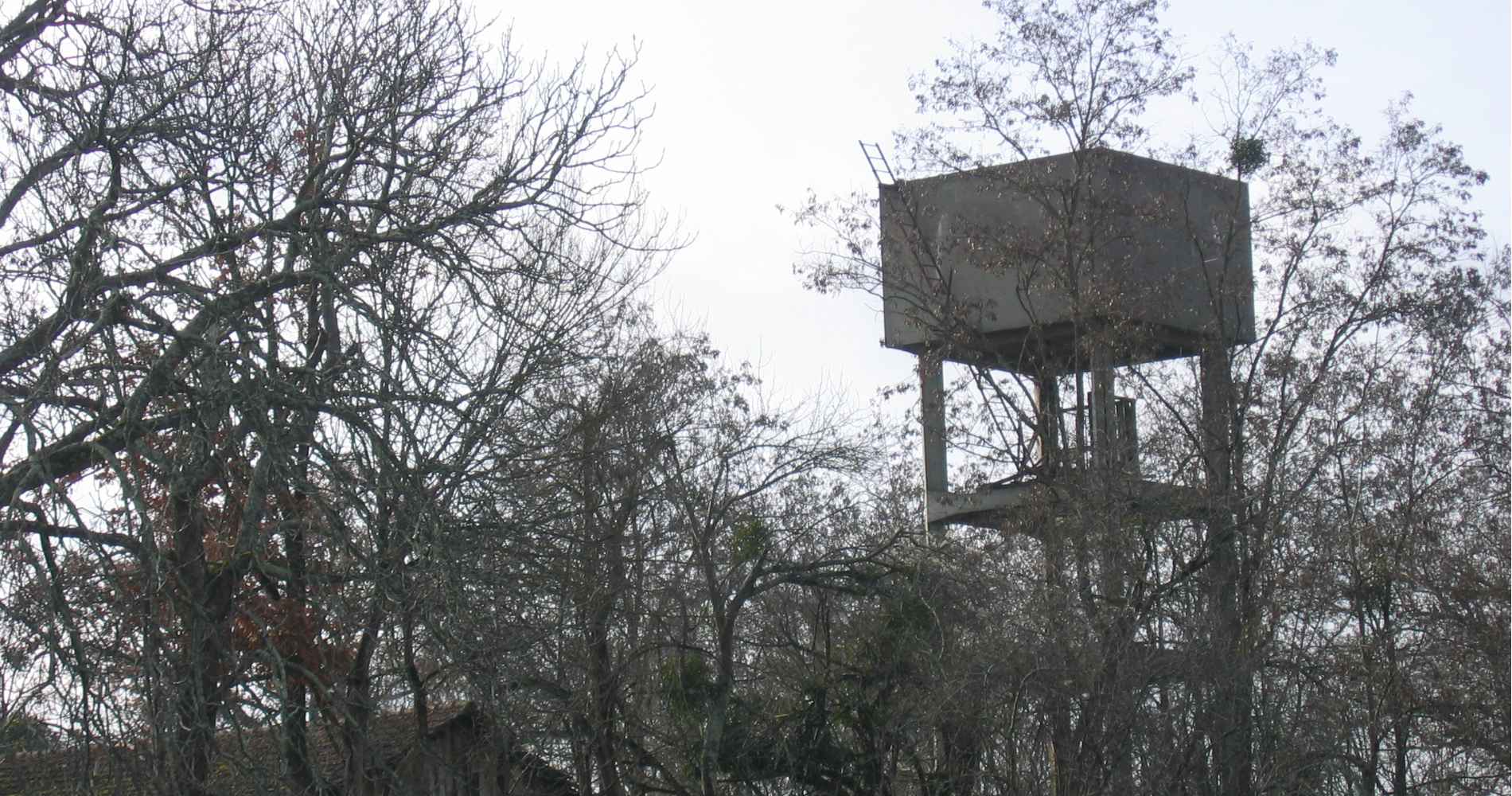 Indications sur les personnes internées au camp de Brens entre le 8 février 1942 et le 4 juin 1944